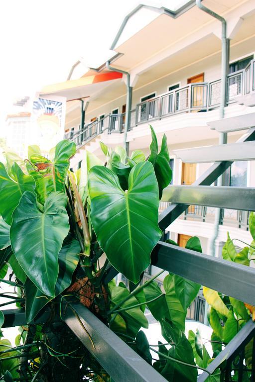 Citi Serviced Apartments And Motel - Korobosea Boroko エクステリア 写真