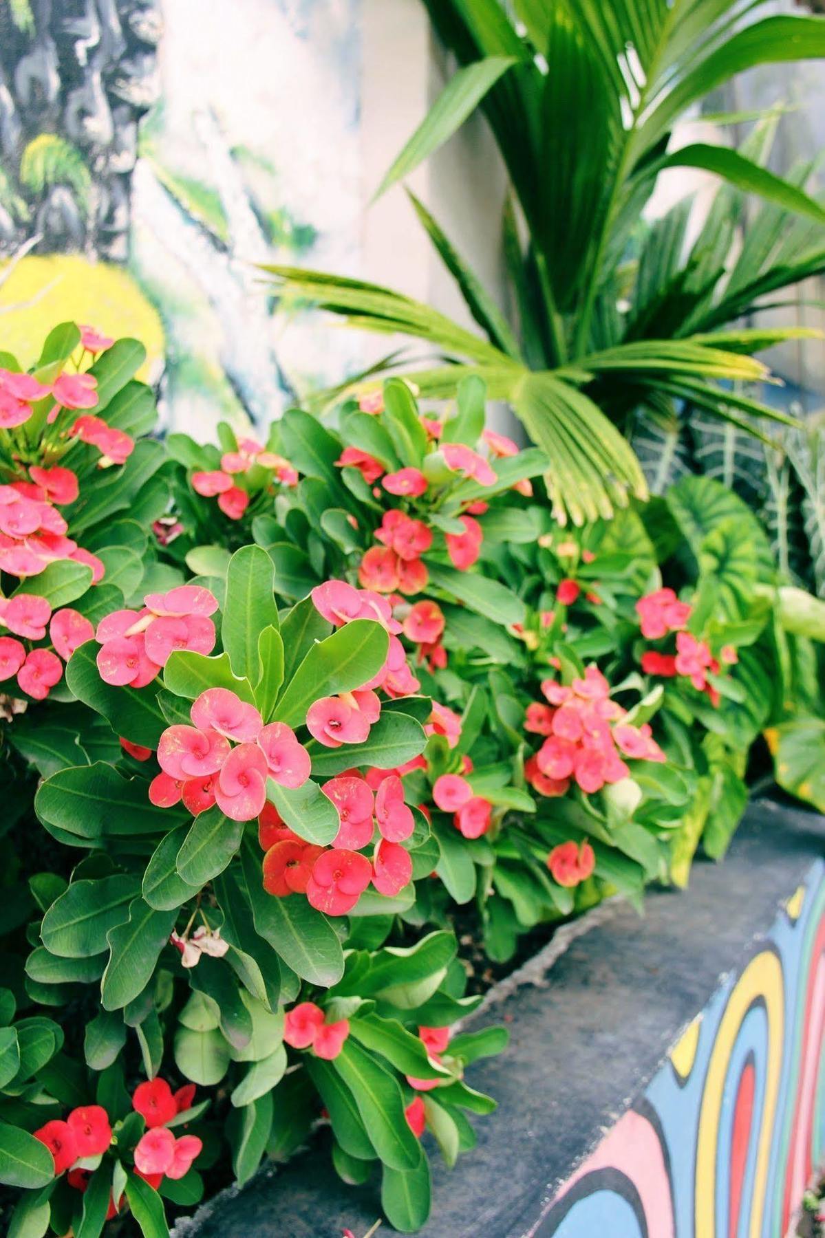 Citi Serviced Apartments And Motel - Korobosea Boroko エクステリア 写真